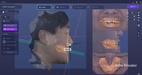 RayFace Software 2